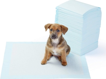 AmazonBasics-Dog-1-1.jpg