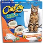 CitiKitty-1-1.jpg