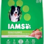 IAMS-1-1.jpg
