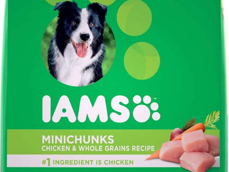 IAMS-1-1.jpg