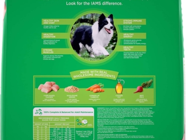 IAMS-2-1.jpg