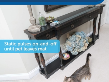 PetSafe-2-1.jpg