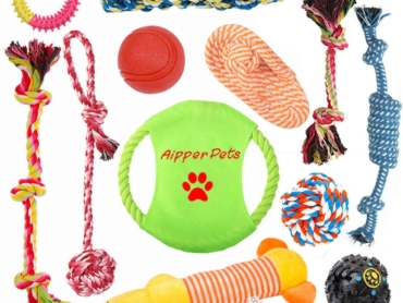 aipper-1.jpg