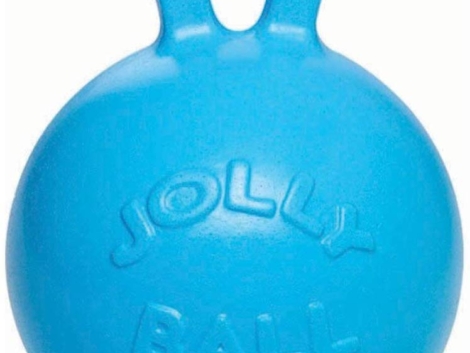 jolly-1.jpg