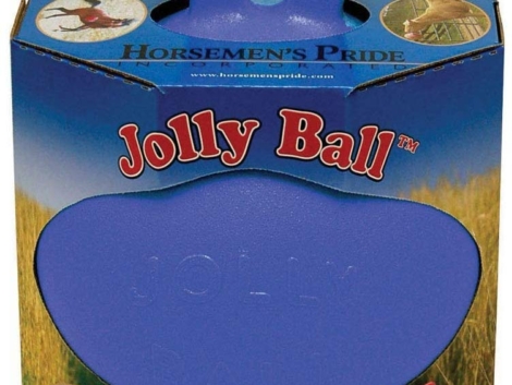jolly01-1.jpg